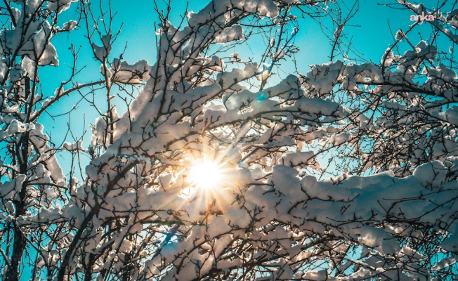 Meteoroloji'den ocak ayı sıcaklık analizi: "En düşük sıcaklık Erzurum’da, en yüksek sıcaklık Yalova’da ölçüldü"