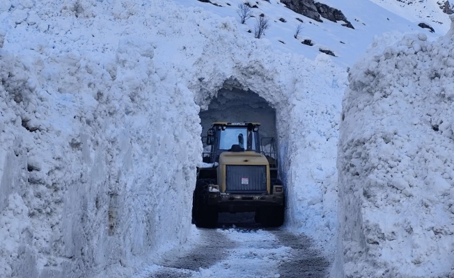 Van'da olumsuz hava koşulları nedeniyle 67 yerleşim yerinin yolu kapandı