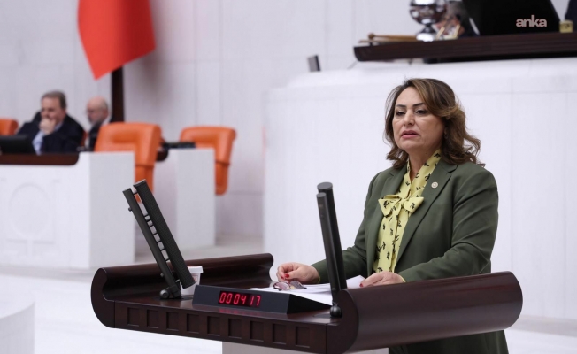 CHP’li Şevkin’den İçişleri Bakanı’na: “Tahliye edilen Zeydan Karalar neden göreve iade edilmiyor?”