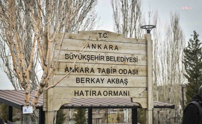 Tıp öğrencisi Berkay’ın anısı Ankara ATA Çiftliği’nde yeşeriyor...&nbsp;