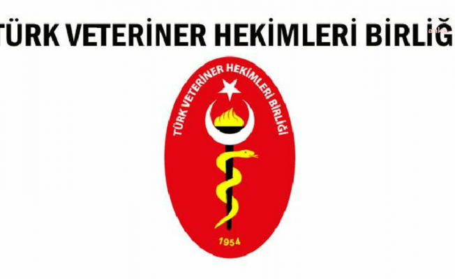 Türk Veteriner Hekimleri Birliği'nden Edremit’te toplu köpek ölümüyle ilgili açıklama: Sorumlular hakkında en ağır idari ve cezai yaptırımlar uygulanmalı