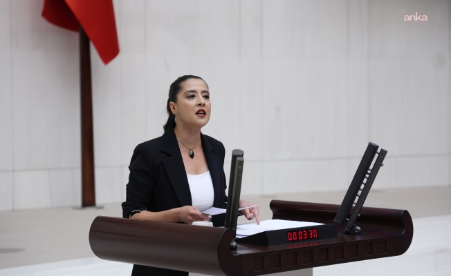 EMEP Gaziantep Milletvekili Sevda Karaca, Gülistan Doku soruşturmasında yaşanan gelişmeleri TBMM gündemine taşıdı