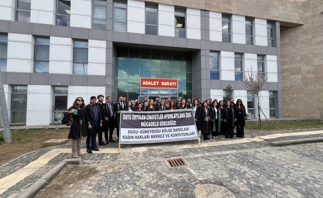 Gülistan Doku soruşturması... Tunceli Adliyesi önünde 17 baroya üye avukatlardan açıklama: Sorumlular makam ve mevki farkı gözetilmeksizin ortaya çıkarılmalı