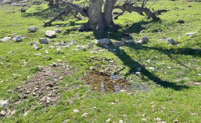 Gülistan Doku soruşturmasında Koçpınar Köyü'nde Ocak 2025'te yeraltı cihazıyla arama yapıldı... Aramada "mezar görüntüsünde" boşluk tespit edildi ancak ceset bulunamadı