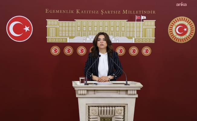 Gülistan Kılıç Koçyiğit’ten Gülistan Doku soruşturması için çağrı: “Dönemin İçişleri Bakanı Süleyman Soylu da sorgulanmalı”