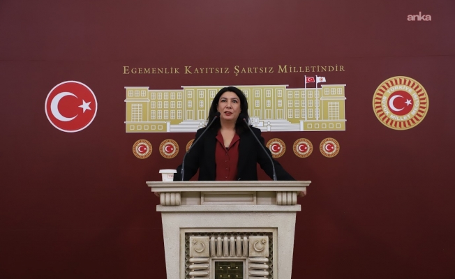 Halide Türkoğlu: "Gülistan Doku olayı bu ülkenin kolluğunun, yargısının, kurumlarının nasıl çöktüğünün bir kez daha göstergesi olmuştur"