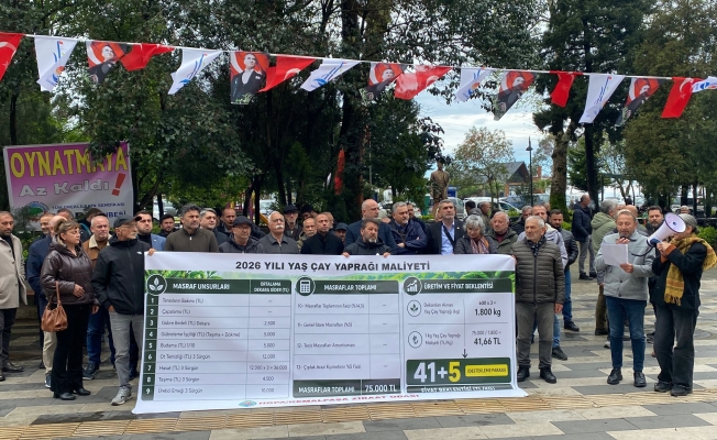 Hopalı çay üreticilerinin talebi: "Taban fiyat en az 46 TL olmalı”