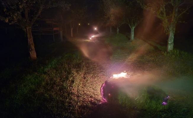 Iğdır’da kayısı üreticileri zirai dona karşı saman yakarak nöbet tuttu