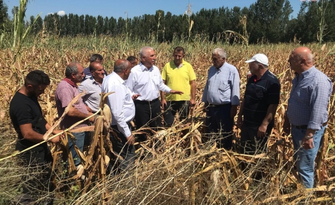Kadim Durmaz: “Mısırda yapılması gereken ithalatın önünü açmak değil, üreticinin önünü açmaktır"