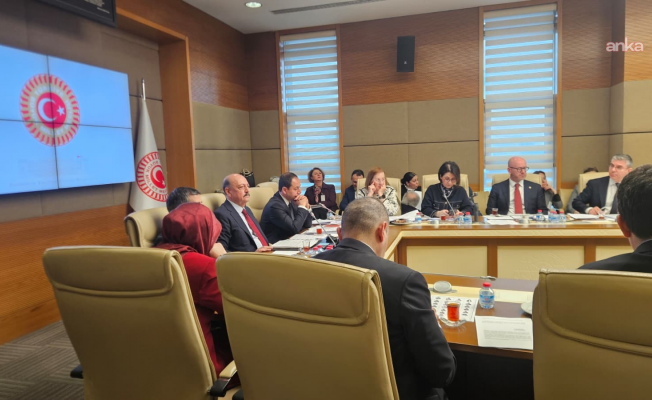 TBMM Sağlık, Aile ve Çalışma Komisyonu...CHP'den kadınların iş hayatı öncesi annelik sürecinin askerlik gibi sigorta kapsamına alınması önerisi