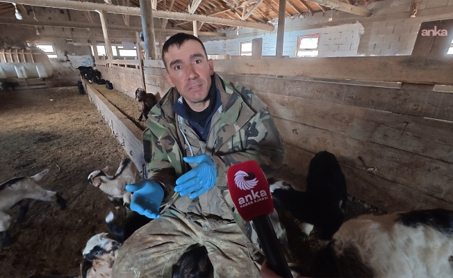 Yozgatlı besici: "Yem fiyatları çok yüksek, bizim sütümüze hiç zam geldiği yok"