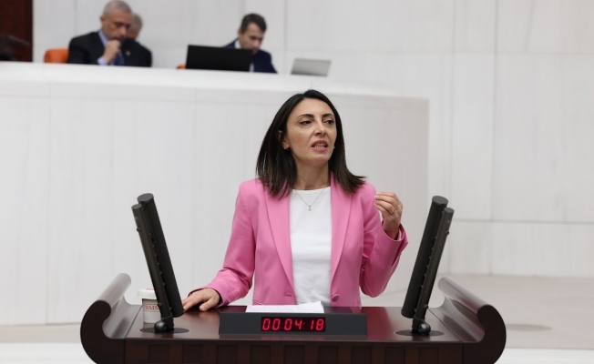 CHP'li Kayışoğlu: İktidar, emekliye kuruşun hesabını yaparken, şirketlerin milyarlarca liralık vergi borçlarını tek kalemde silebiliyor