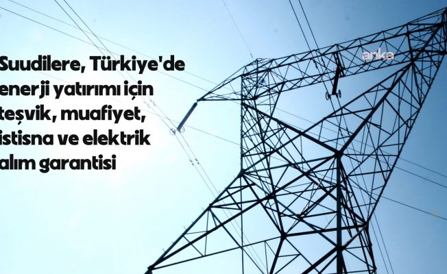 Suudilere, Türkiye'de enerji yatırımı için teşvik, muafiyet, istisna ve elektrik alım garantisi