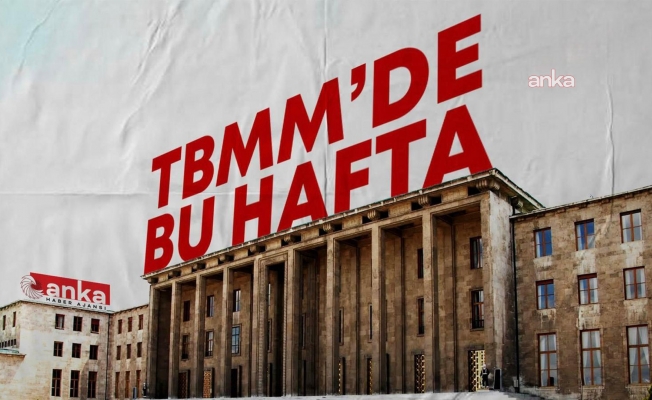 TBMM’de bu hafta: “Varlık barışı” düzenlemesi ve vergi avantajları sağlayan kanun teklifi Genel Kurul’da görüşülecek