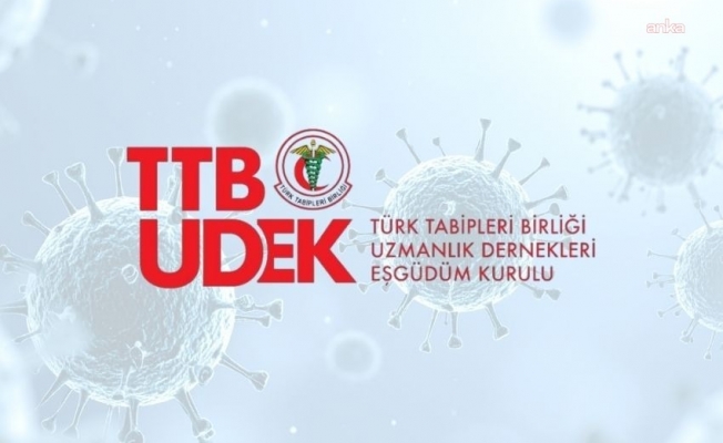 TTB-UDEK'ten Hantavirüs Enfeksiyonu açıklaması: Genel toplum için risk düşük