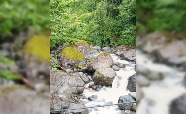 Artvin’de doğal kayalar kırılarak dere ıslah çalışması yapılmasına tepki
