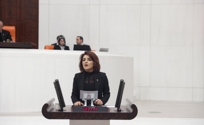 CHP’li Gülcan Kış: "Çiftçi ürününü kaybetti, gelirini kaybetti. Bakanlık ise sorulara cevap vermek yerine mevzuat anlattı"