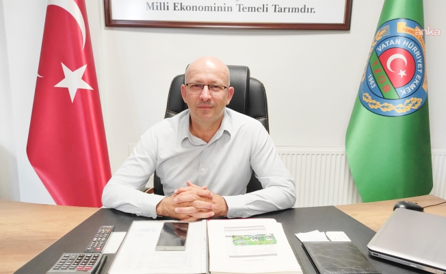 Edirne'de buğdayda hastalık riski... Ziraat Odası Başkanı: "Boş başaklar, verim kaybına sebep olacaktır"
