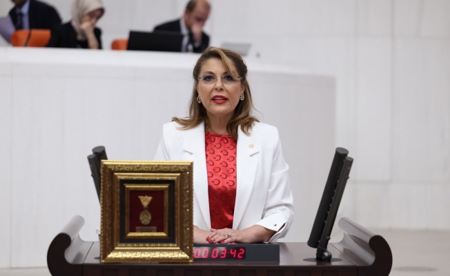 Gezmiş, “Derelerimizde canlılar ölüyor, bölgemizde kanser vakaları artıyor”