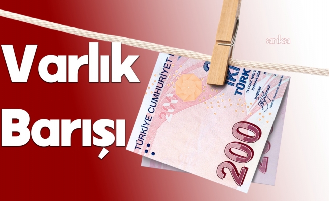 Güldem Atabay'dan "varlık barışı" uyarısı: Vergi adaleti zedelenirse toplumsal güven de zedelenir