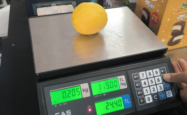 Limonun tanesini 24 liraya satıldığını gören yurttaşlar: “Nedir bu milletin çektiği”