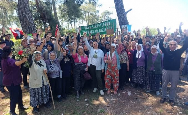Akbelen’de el koyma ve değer tespit davaları Danıştay kararı kesinleşene kadar durduruldu