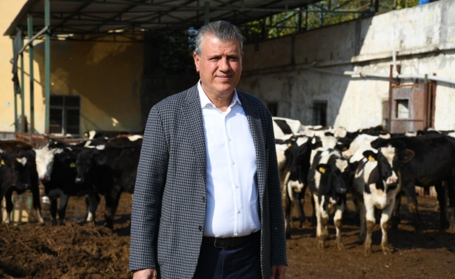 CHP’li Ayhan Barut’tan süt fiyatı tepkisi  “Üretici de tüketici de mağdur”