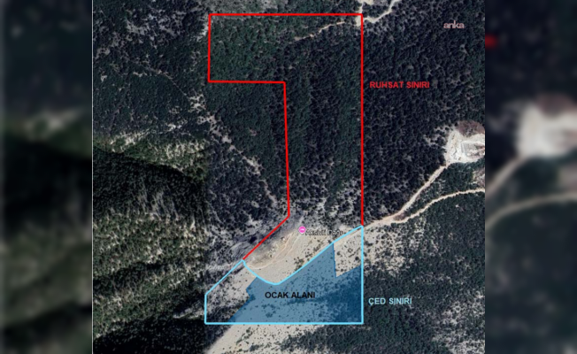 Muğla'da orman alanında mermer ocağı projesine onay