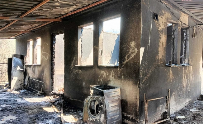 Orman yangınlarında 65 bağımsız bölüm ağır hasar gördü veya yıkıldı