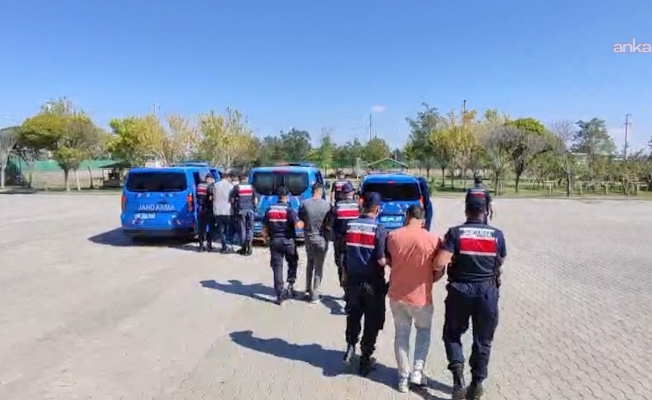 Aksaray'da köpek dövüşü yaptıran 3 kişi gözaltına alındı