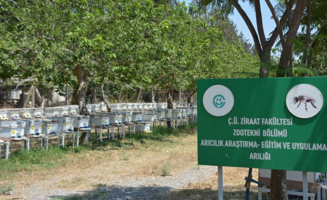 Ayhan Barut: "Uygulama ve Araştırma Çiftliği'nde kriz sürüyor"
