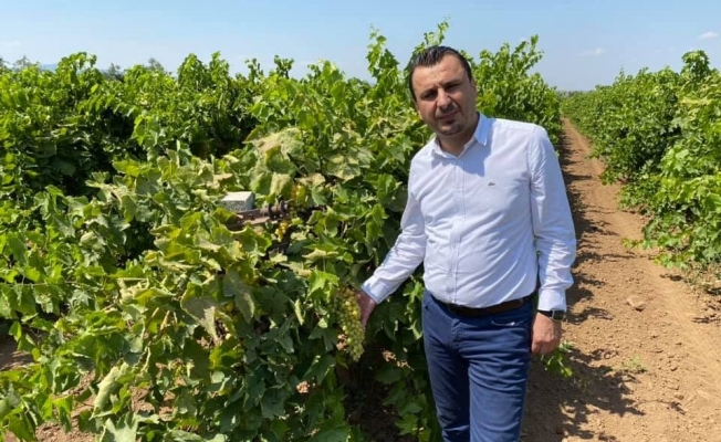 Başevirgen'den çiftçiyi koruyacak üzüm fiyatı çağrısı: "150 TL'nin altı üretimi durdurur"
