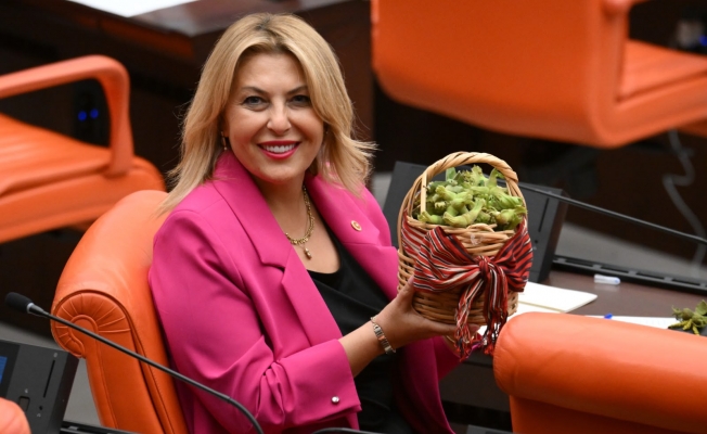 Elvan Işık Gezmiş, bu kez Türkiye Büyük Millet Meclisi kürsüsüne elinde fındık sepeti ve kara lastik ayakkabıyla çıkarak Karadenizli üreticilerin sesi oldu