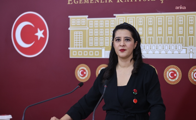 EMEP'li Karaca, Madran Dağı yangınını TBMM gündemine getirdi