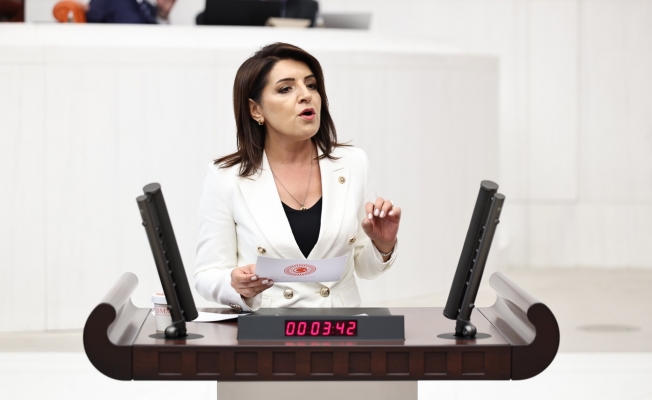 Gülcan Kış: “Dünya Ülkeleri Üreticisini Koruyor, AKP Anamurlu Üreticiyi İthalata Teslim Ediyor”