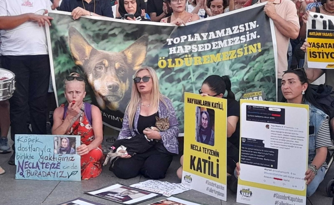 Katliam yasası"nın ikinci yılında yaşam hakkı savunucuları Kadıköy'de eylem yaptı