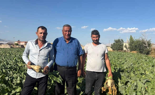 Ömer Fethi Gürer: “Pancar üreticisi fiyat bekliyor, çiftçinin beklentisi en az 4 bin lira”