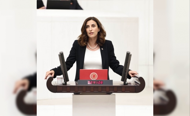Rızvanoğlu: Orman yangınları nedeniyle av ihaleleri iptal  edilsin!