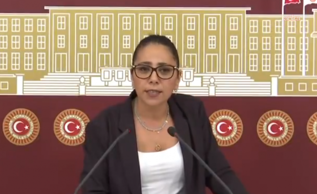 TİP'ten Sera Kadıgil hakkında soruşturma başlatılmasına tepki: Sosyal medyada 'cadı avı' yapmak yerine hukuksuzluklarla ilgili sorumluluklarını yerine getirsinler