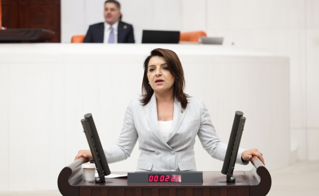 Gülcan Kış: "Akaryakıttaki tarihi artışa 100 liralık banknot üzerinden dikkat çekti"