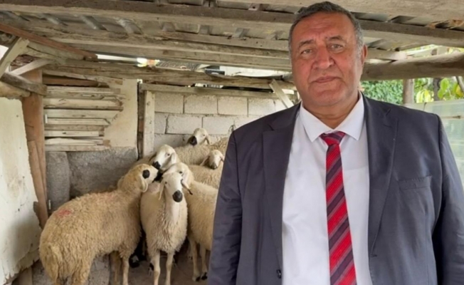 Gürer: “2023 ile 2025 arasında Kırmızı Ette 500 Milyon Ton, Sütte 2,1 Milyon Ton, Yumurtada 1,2 Milyar Adet ve Bal Üretiminde %17,8 Azalma Var