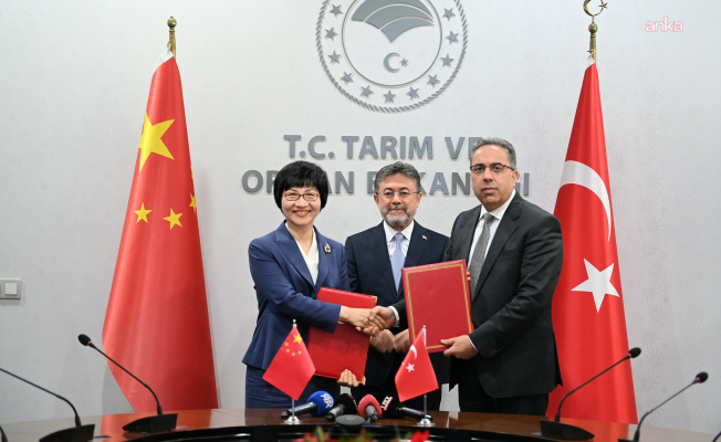 Türkiye ile Çin arasında "defne yaprağı" ihracatı için protokol imzalandı