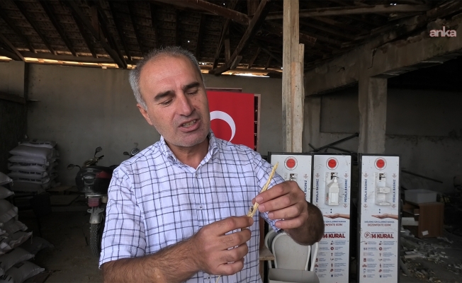 Uzmanından hububat uyarısı: "Yağış verimi artırdı, hastalık riskini de beraberinde getirdi"