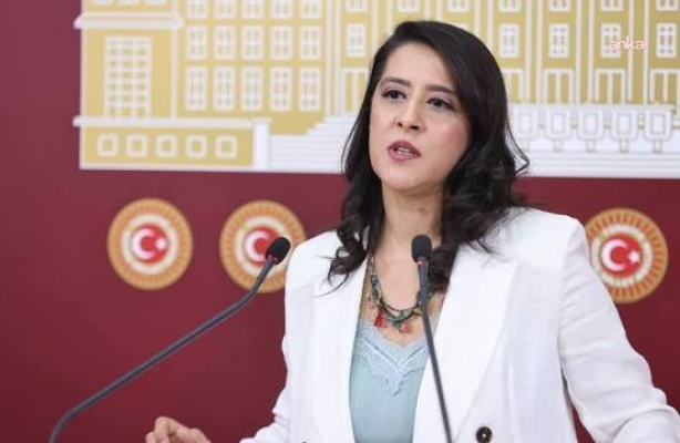 EMEP'li Karaca, gazeteci Derya Okatan'ın tutuklanmasını TBMM gündemine taşıdı