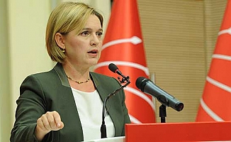 CHP'li Selin Sayek Böke'ye önemli görev