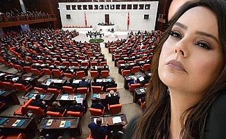 Meclis'te VİP tartışması; Ebru Gündeş nasıl kullanıyor?