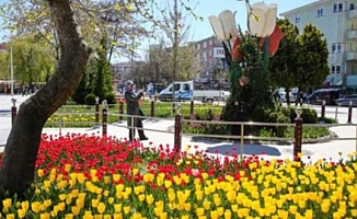 AKP'li belediye laleye 3 milyon lira harcadı