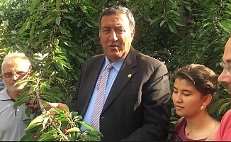 Dünyaya kiraz gönderen Ulukışla’da üretici iktidarın desteğini bekliyor