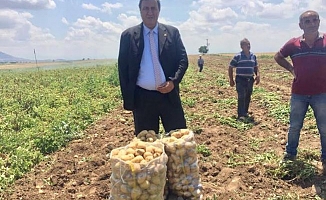 Gürer: “Yazlık patates fiyatı, kışlık patates üreticisini kaygılandırıyor”
