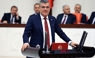 "Hayvan sağlığının korunması için aşılar ücretsiz olmalıdır"